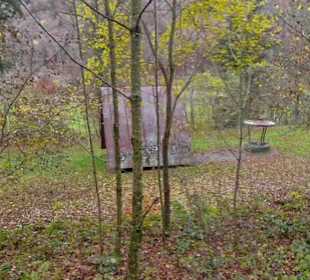 Maienplatz Grillstelle