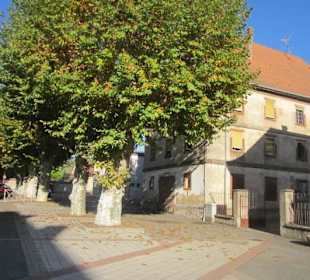 Altstadt Lauterbourg 