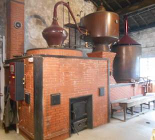 Weingut Guillon-Painturaud