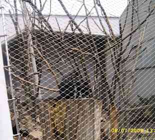 Urokliwe krakowskie ZOO.