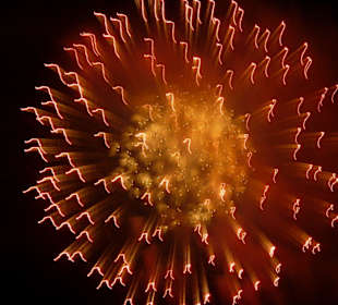 Feuerwerk am 15.8