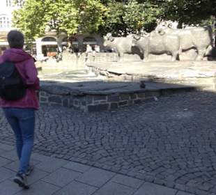 Rindermarkt