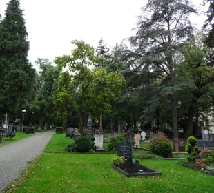 Fangelsbach Friedhof