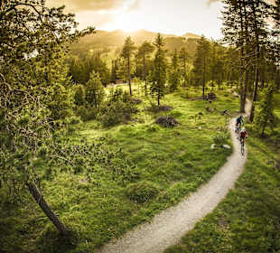 Biken durch den Wald