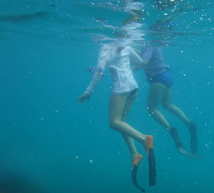 Snorkelling