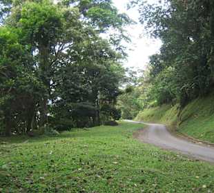 Straßenansich
