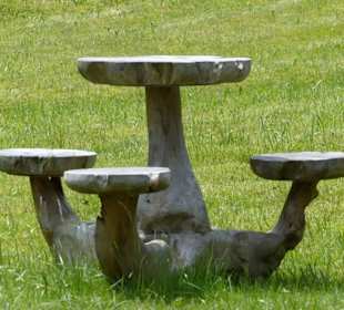 Baumsitzgruppe im Garten