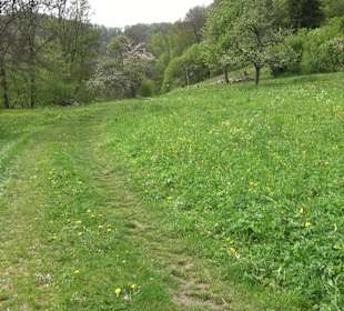 Wandertour durchs Reissenbachtal Oberhausen