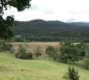 Naturschutzgebiet Zollerhalde Zimmern