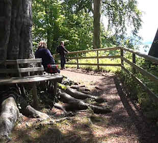 Rundwanderweg - Ottos Ruh