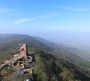 Blick vom Turm auf das Burggelände