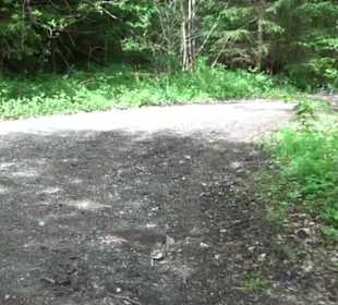 Naturpark Schönbuch