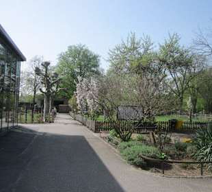 Zoo Heidelberg