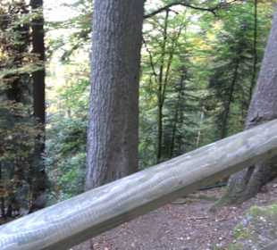 Triberger Wasserfälle