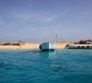 Schnorcheln Giftuninsel