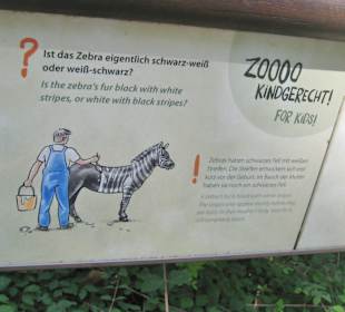 Zebras