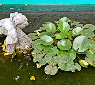Terrasse Blue Elephant