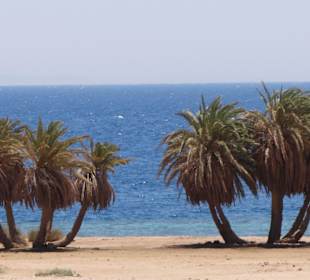 Dzika plaża za hotelem Happy Life Village