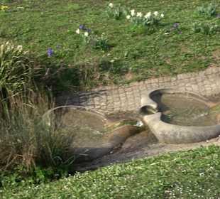 Unterer Schlossgarten Stuttgart