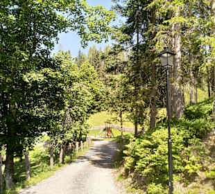 Wandern St. Martin Tennengebirge