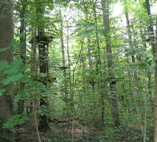 Hochgeträumt Premiumwanderung