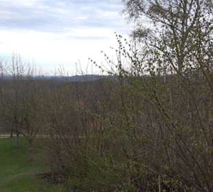 Der Grafenberg