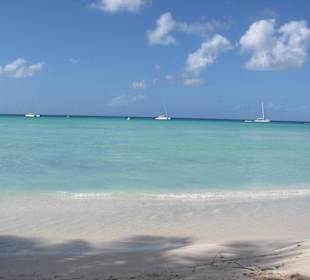 Schöne Insel Saona