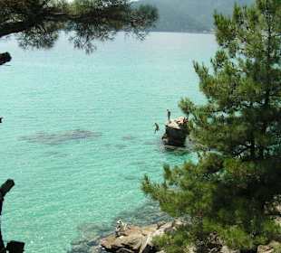 Felsenspringer am Golden Beach