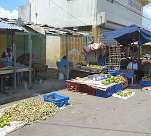 Andy Tour mit viel Vitamina und Spaß