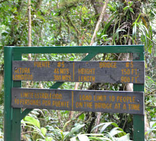 Hohe, lange Brücken!