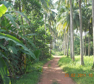 Weg zum Strand