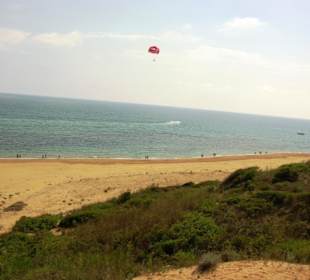 Gündogdu auf den Dünen oben