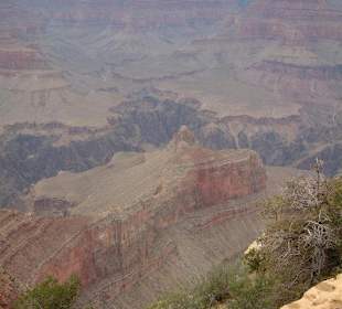 Parco nazionale Grand Canyon