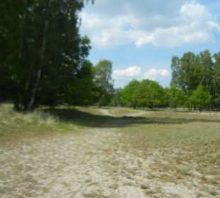 Naturschutzgebiet Boberger Niederung