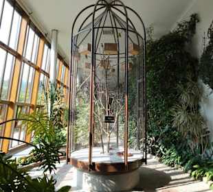 Rundgang durch die Orangerie des Schlosses