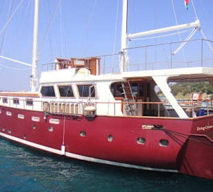 Galatea - Diving Cruises