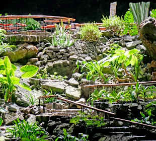 Dann geht es wieder nach oben