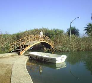 Kleine Brücke mit Doris