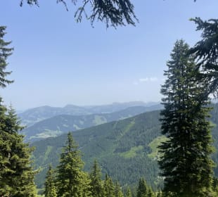 Wandern Niederau