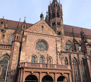 Freiburger Münster
