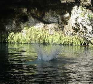 Gran Cenote