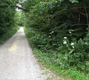 Sonnenaufgangs-Rundwanderung Rübgarten