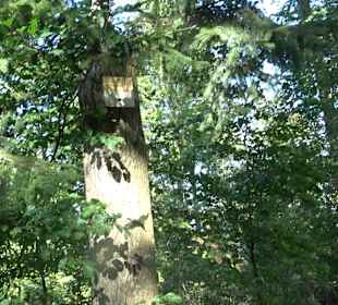 Der Bussen - heiliger Berg Oberschwabens Offingen