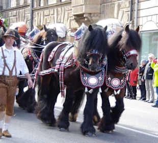 Brauerei Wolfshöher Neunkirchen 4er Spann