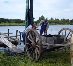 Ein Torfstecher / Heber bei der Arbeit !