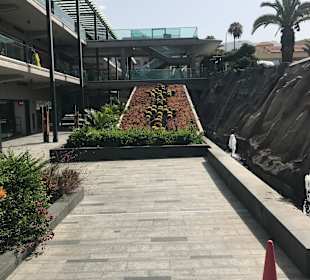 Stadtrundgang Costa Adeje