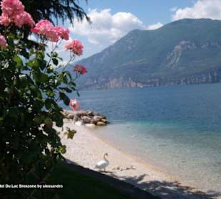 Strand in Brenzone