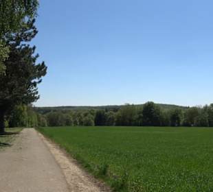 Wanderparkplatz Breitelteich