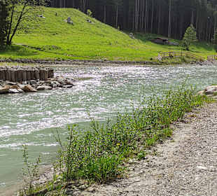 Wandern Fulpmes/Stubaital
