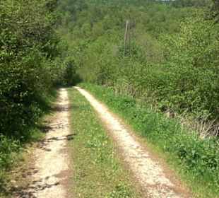 Premiumwanderweg Hochgehschätzt